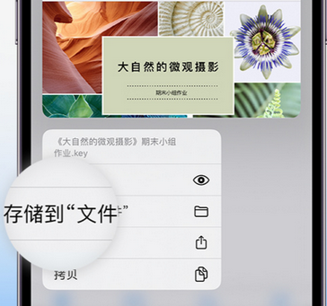 大理apple维修中心分享iPhone文件应用中存储和找到下载文件