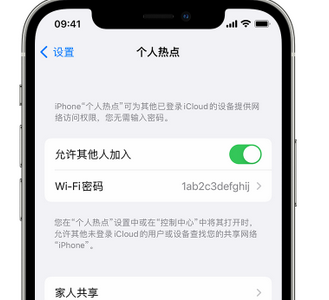 大理apple服务站点分享iPhone上个人热点丢失了怎么办 