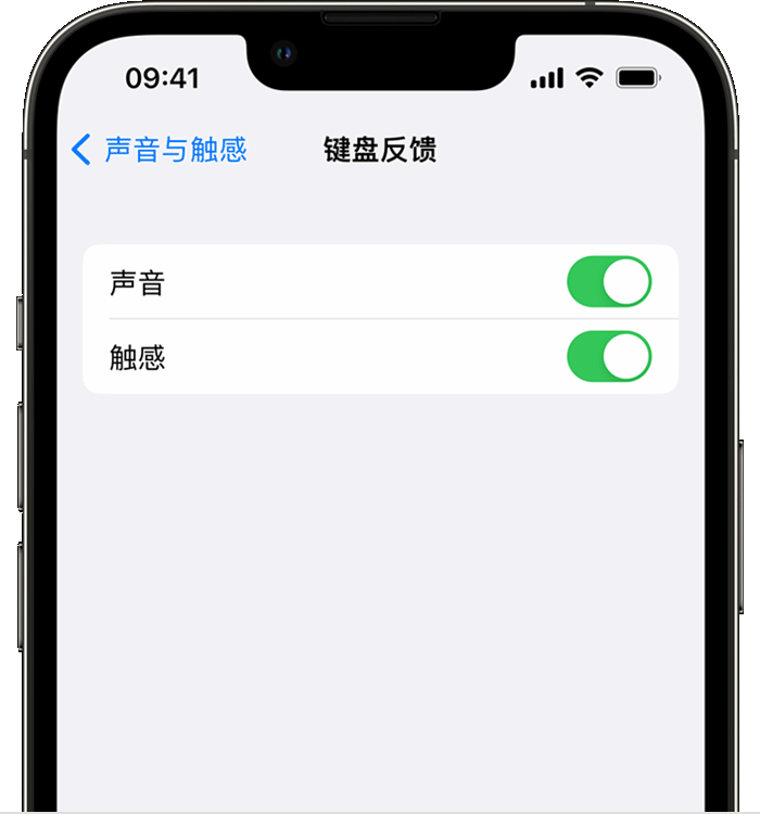 大理苹果14维修店分享如何在 iPhone 14 机型中使用触感键盘 