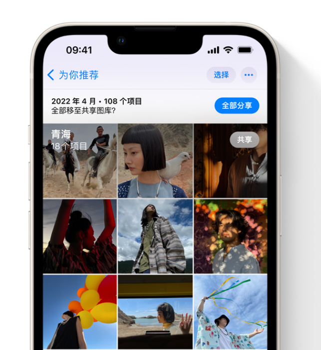 大理苹果维修网点分享在 iPhone 上使用共享图库 