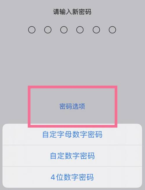 大理苹果14维修分享iPhone 14plus设置密码的方法 