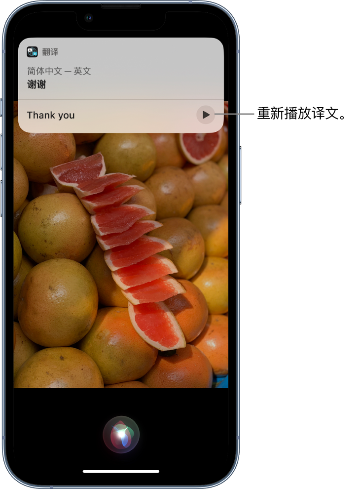 大理苹果14维修分享 iPhone 14 机型中使用 Siri：了解 Siri 能帮你做什么 