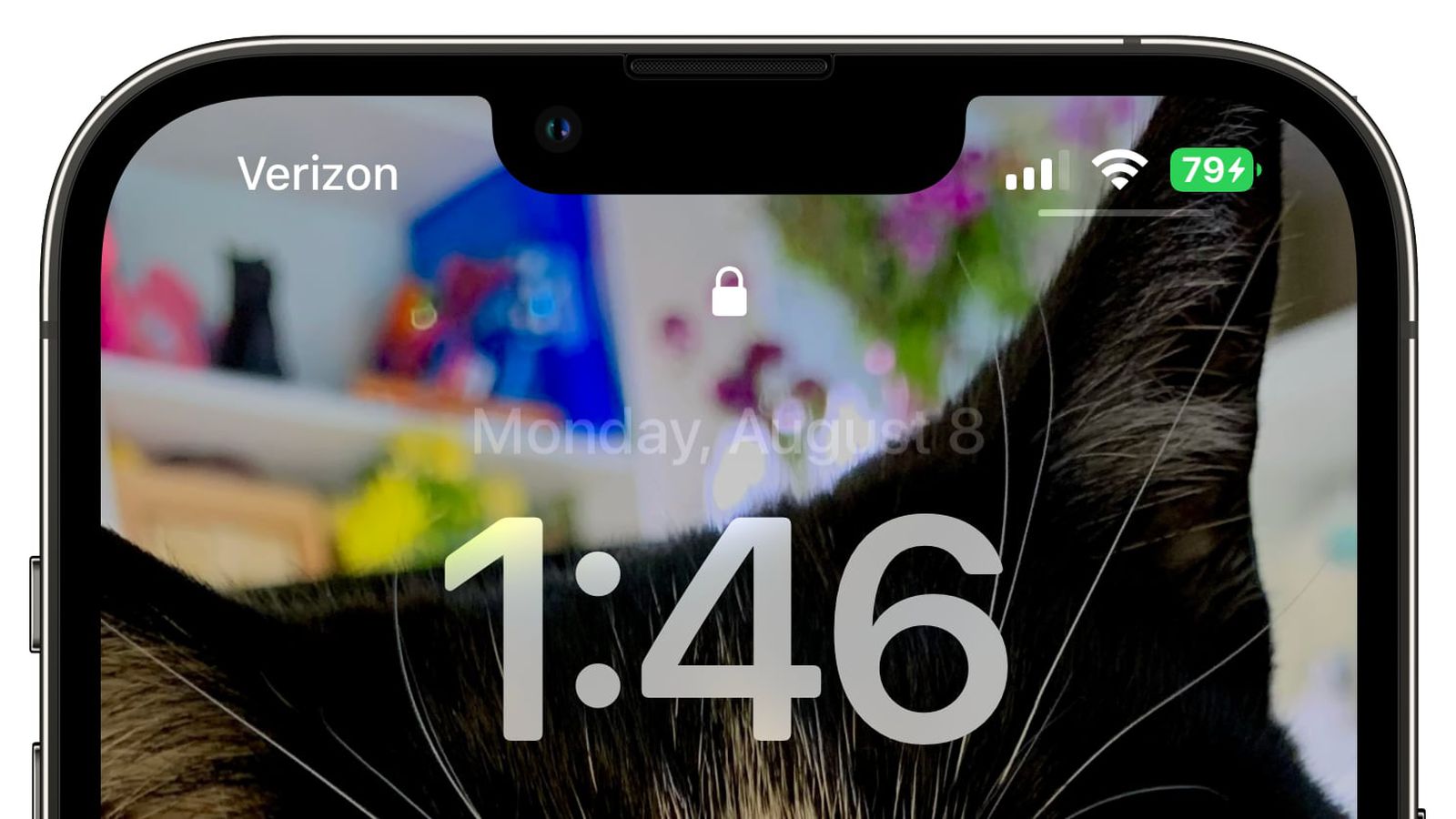 大理苹果手机维修分享iOS 16 beta 5 支持状态栏显示电池百分比，如何开启？支持哪些机型 