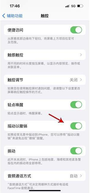 大理苹果手机维修分享iPhone手机如何设置摇一摇删除文字 