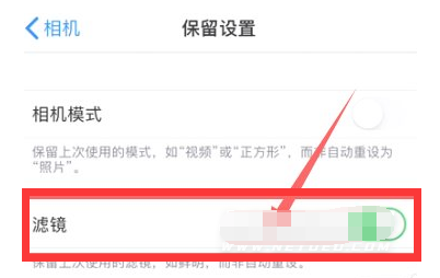 大理苹果13维修分享iPhone13拍照有绿点是怎么回事 