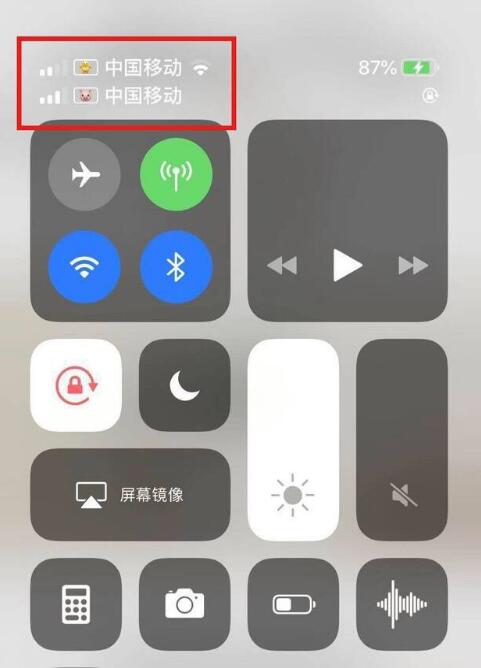 大理苹果手机维修分享为 iPhone 12 双卡设置标签 