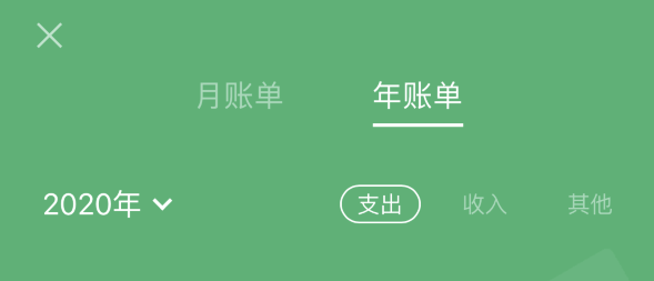 大理苹果手机维修分享如何在 iPhone 上查看支付宝和微信年支出账单 