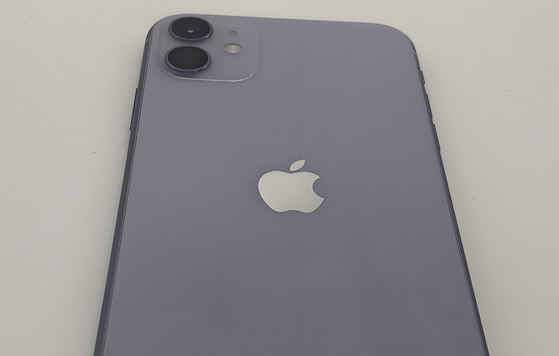 大理苹果11系统维修分享iPhone11手机系统崩溃无法开机如何解决 
